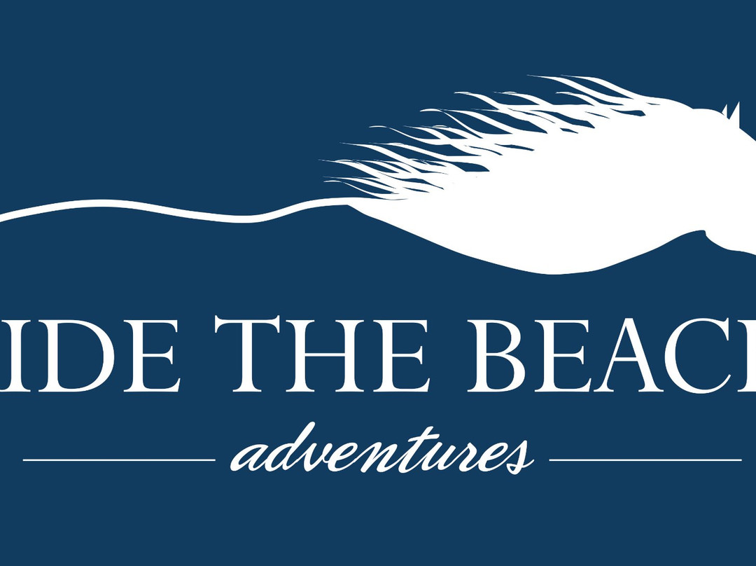 Ride the Beach Adventures-道格拉斯港必去景点