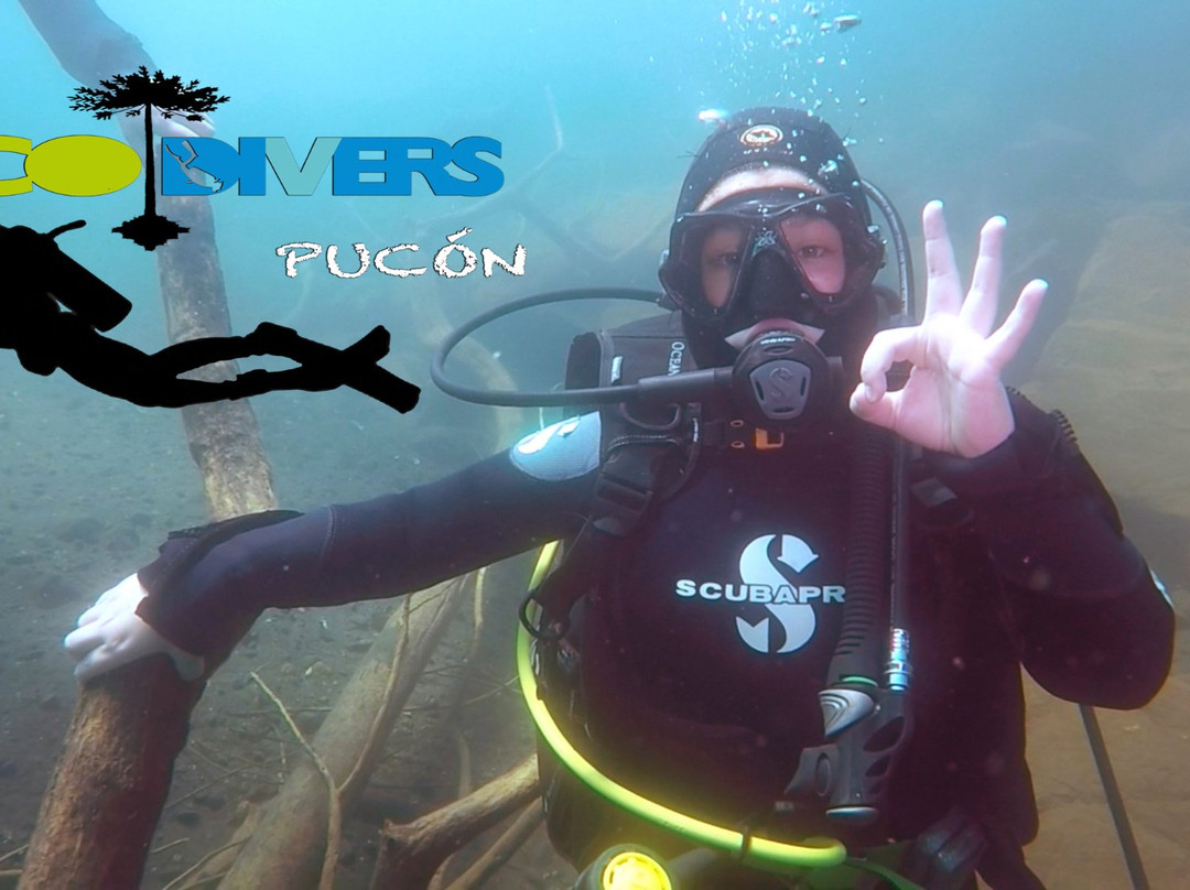 Ecodivers Pucon-普孔必去景点