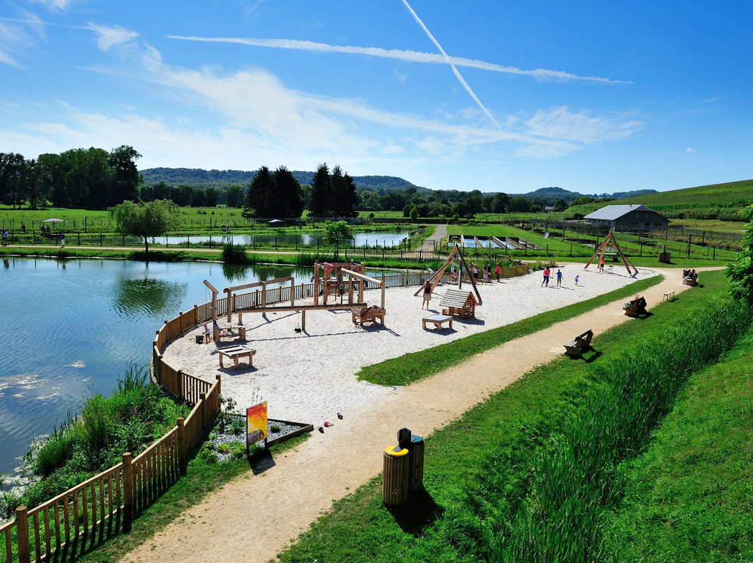 Vendresse旅游攻略图片