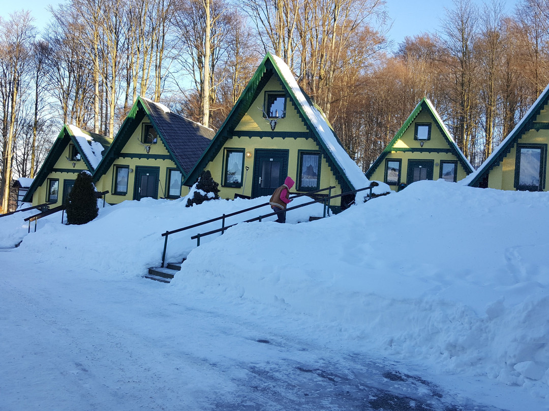 Rechenberg-Bienenmuehle酒店住宿-Ferienhotel Goldhuebel