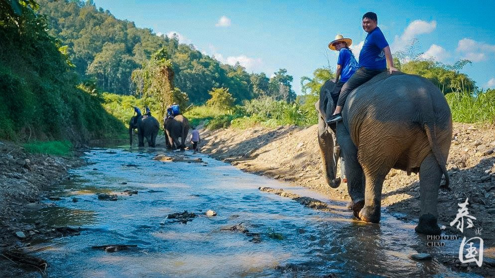 Baanchang Elephant's Paradise-夜登必去景点