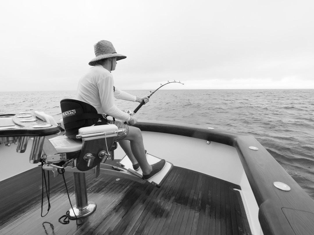 Maverick Sportfishing Charters-梦城必去景点
