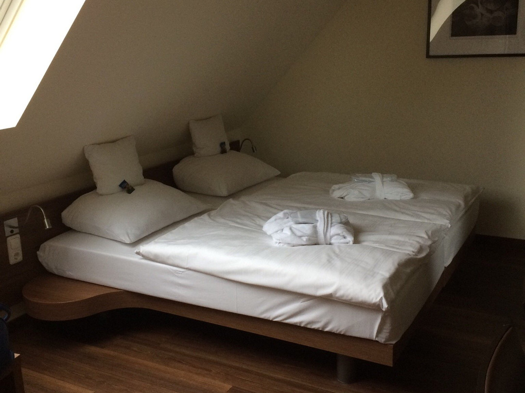 Isenbütteler Hof Hotel & Restaurant主图