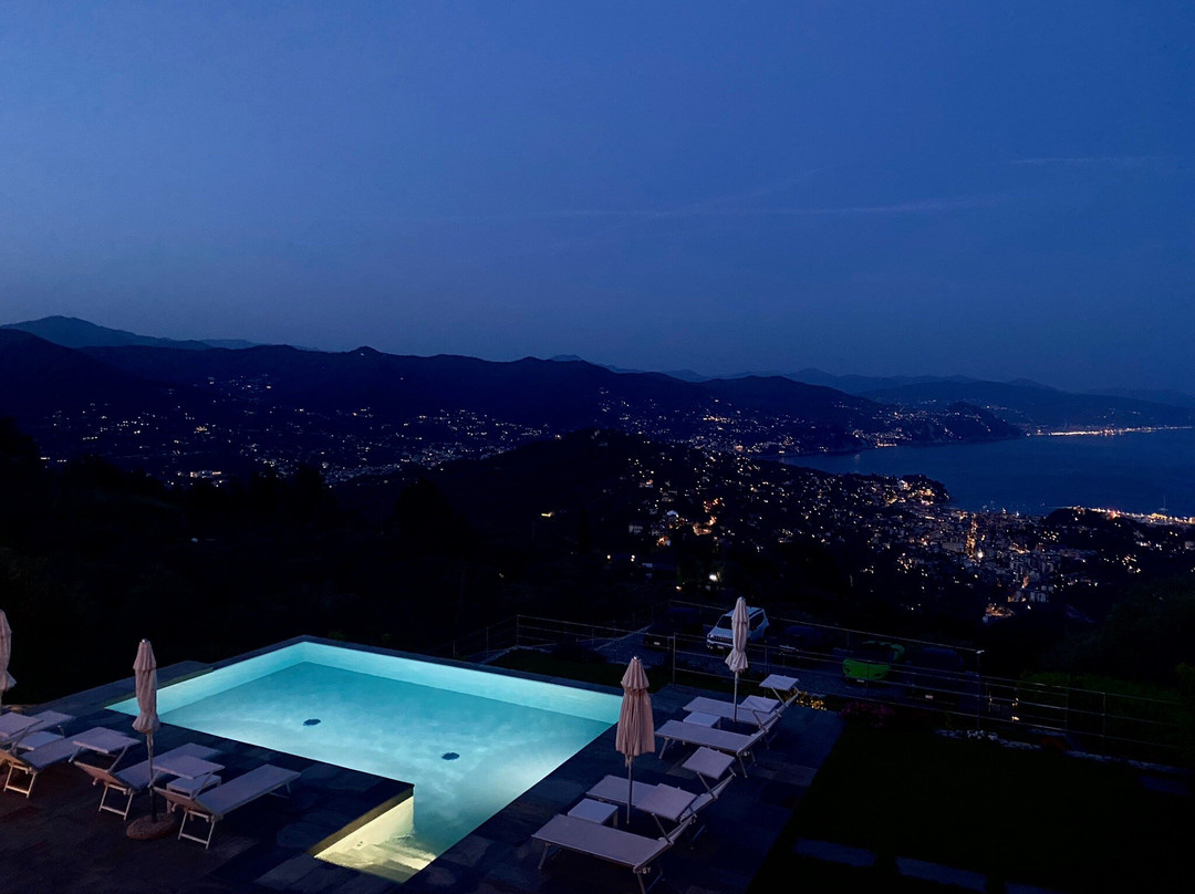 San Lorenzo della Costa餐馆和美食-Il Leccio Ristorante