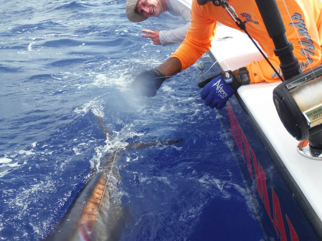 Ocean Surfari  Fishing Charters- British Virgin Islands景点图片