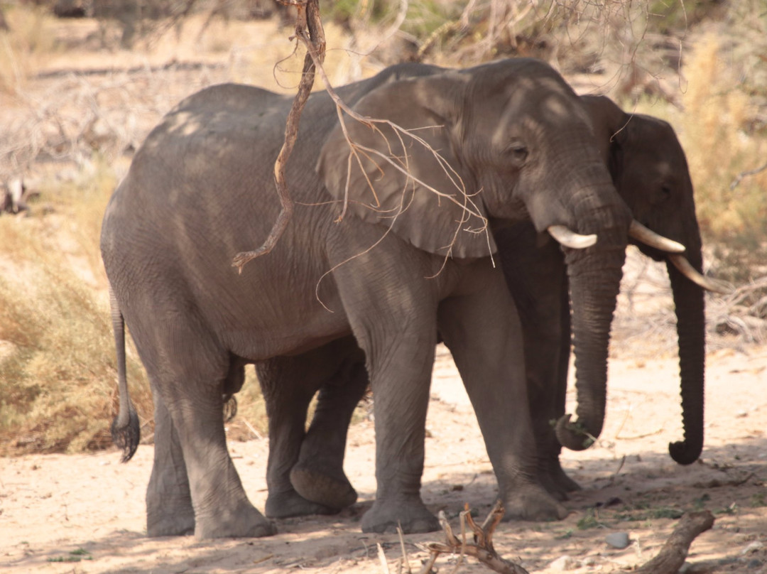 Ugab River-Khorixas必去景点