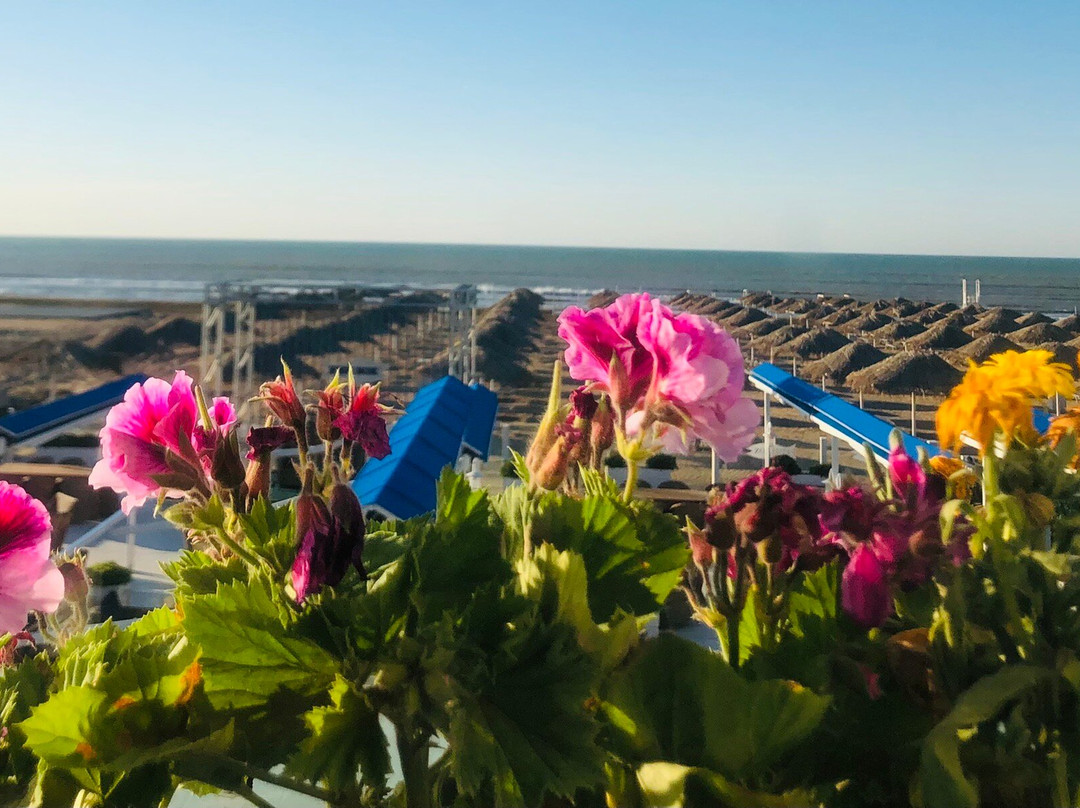 Shore  House  Baku Restaurant