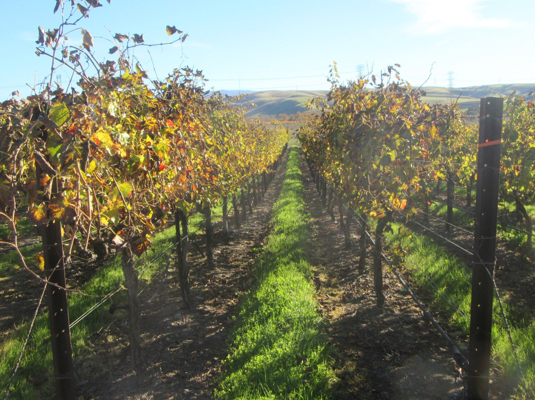 The Steven Kent Winery-利佛摩必去景点