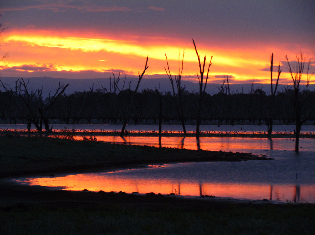 Boobook Explore-Roma必去景点