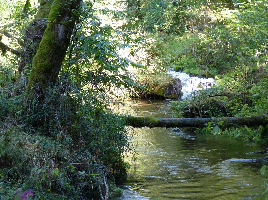 Milo McIver State Park-波特兰必去景点
