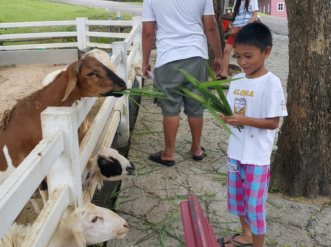 Strawberry Town-罗勇必去景点