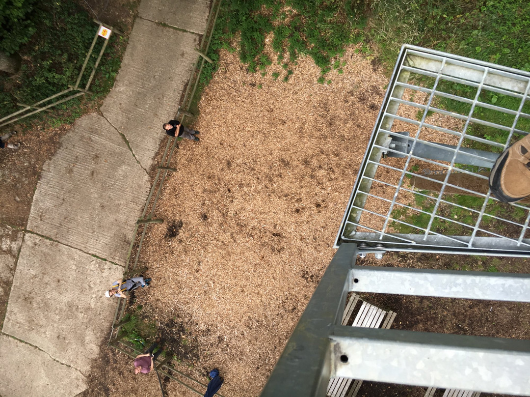 High Ropes Oxford-牛津必去景点
