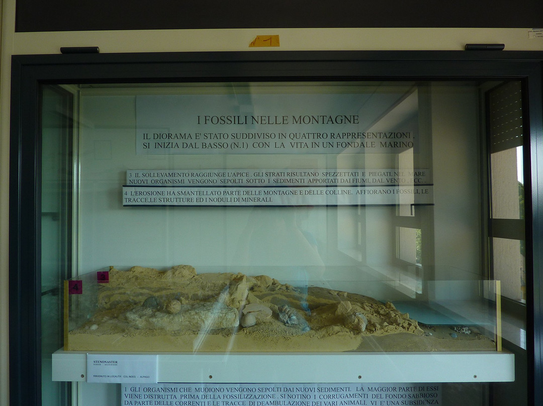 Museo di Storia Naturale-Chies d'Alpago必去景点