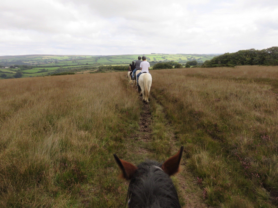 West Anstey Riding Stables景点图片