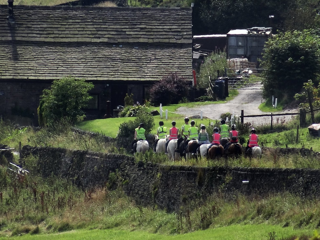 Northfield Farm Horse Riding and Trekking Centre景点图片