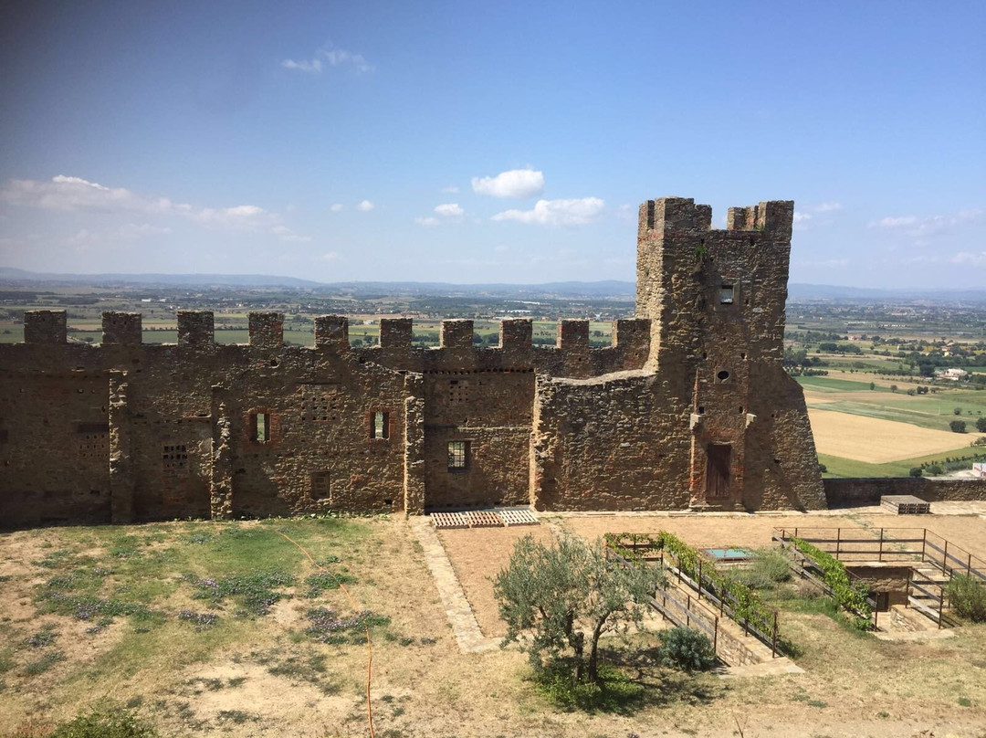 Castello di Montecchio Vesponi景点图片