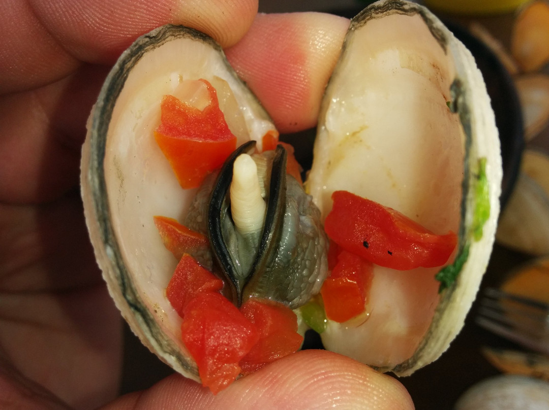 Cação  Beach-Madre de Deus必去景点