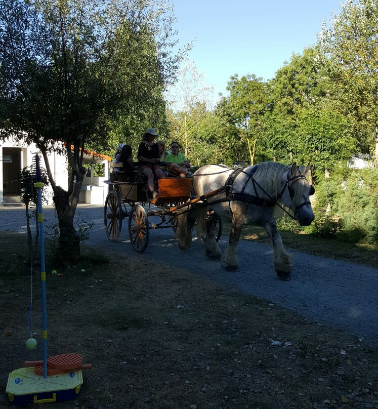 Camping Le Merval