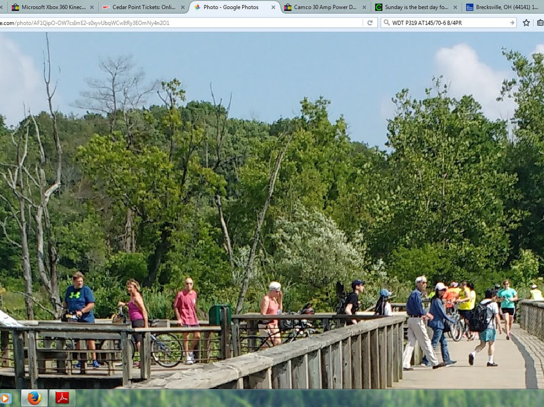 Beaver Marsh-Peninsula必去景点