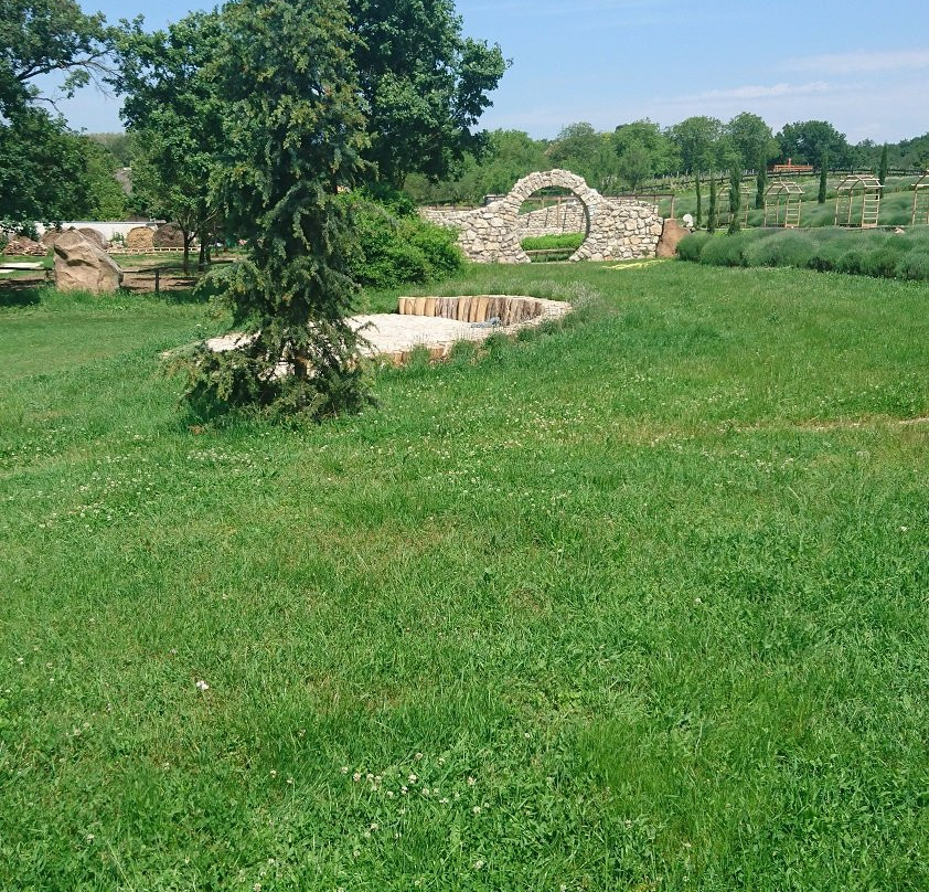 Levendárium Shop-Dorgicse必去景点