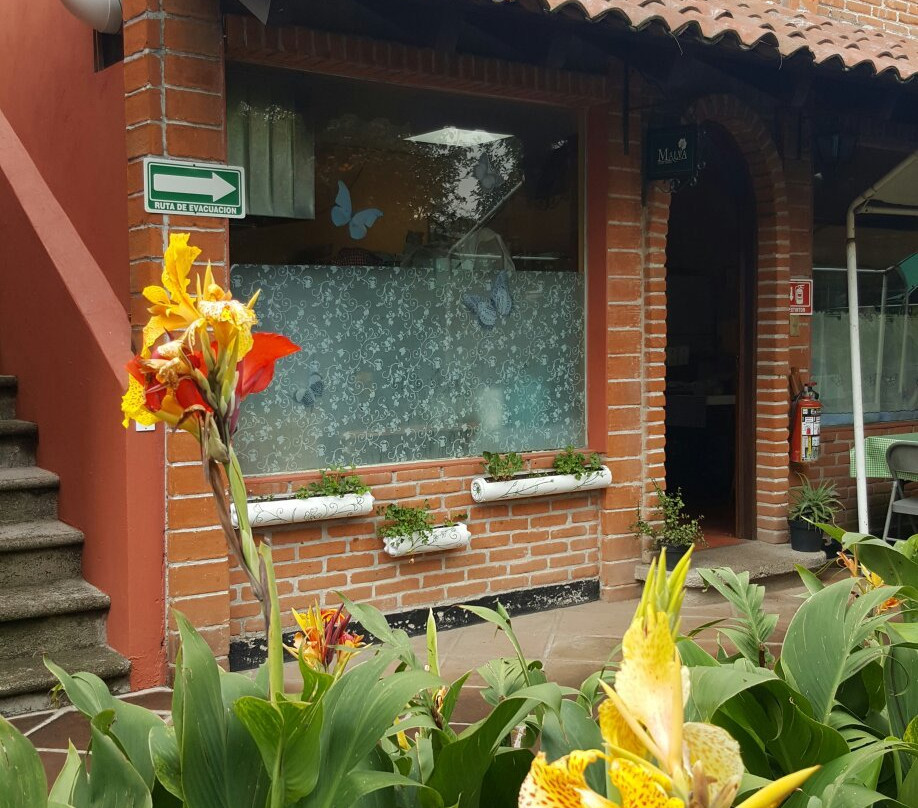 Francisco Pelaez Ethnobotanical Garden景点图片