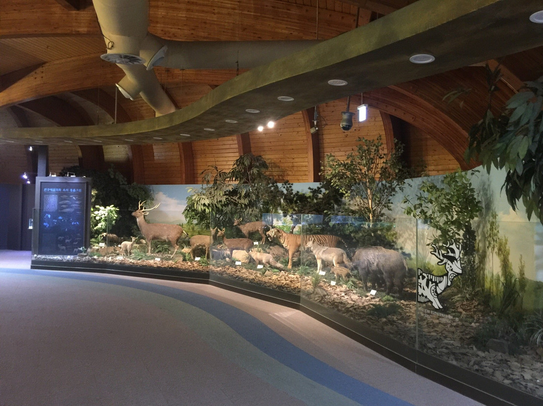 Ulsan Petroglyph Museum-蔚山必去景点