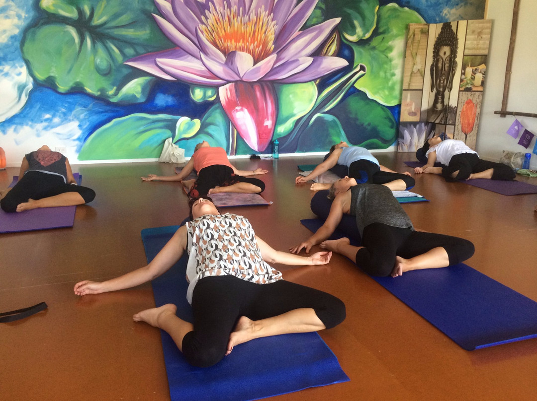 Bloomin Lotus Yoga景点图片