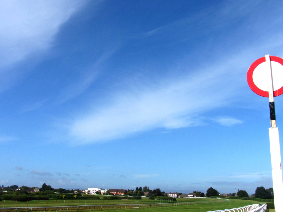 Hereford Racecourse景点图片