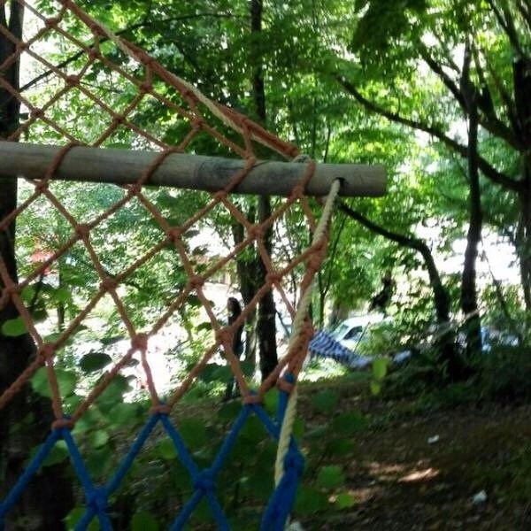 Kaymakdonduran Mesire Ormani-伊斯坦布尔必去景点