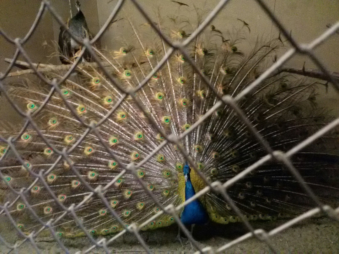 Zoo Aquaterrarium-Slavgorod必去景点