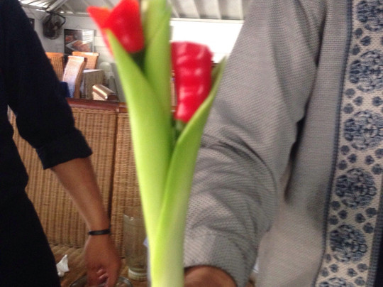 Sanur Cooking Class-Sanur Kaja必去景点