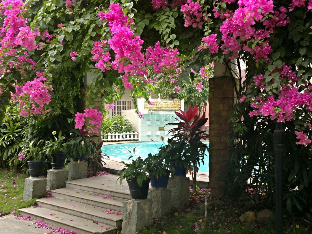 鉆石度假村主图