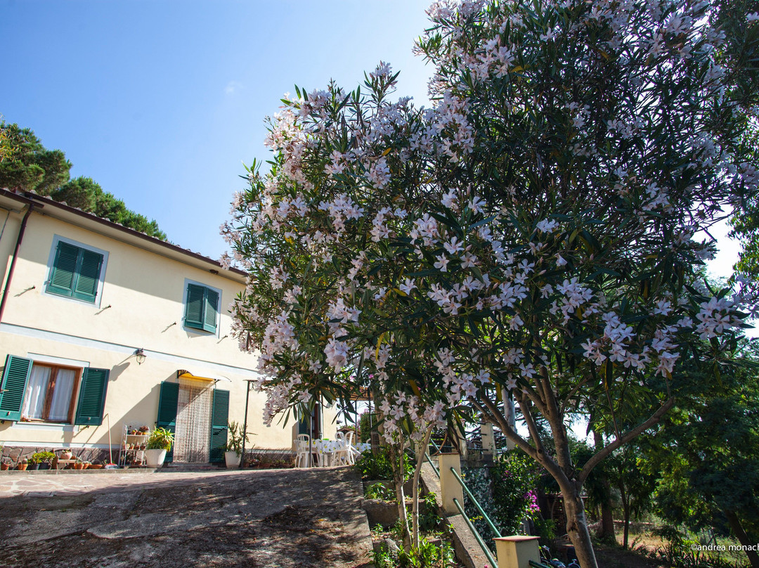 Agriturismo la Lecciola