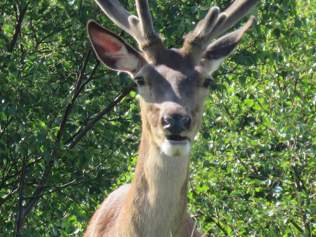 High Oatfield B&B主图