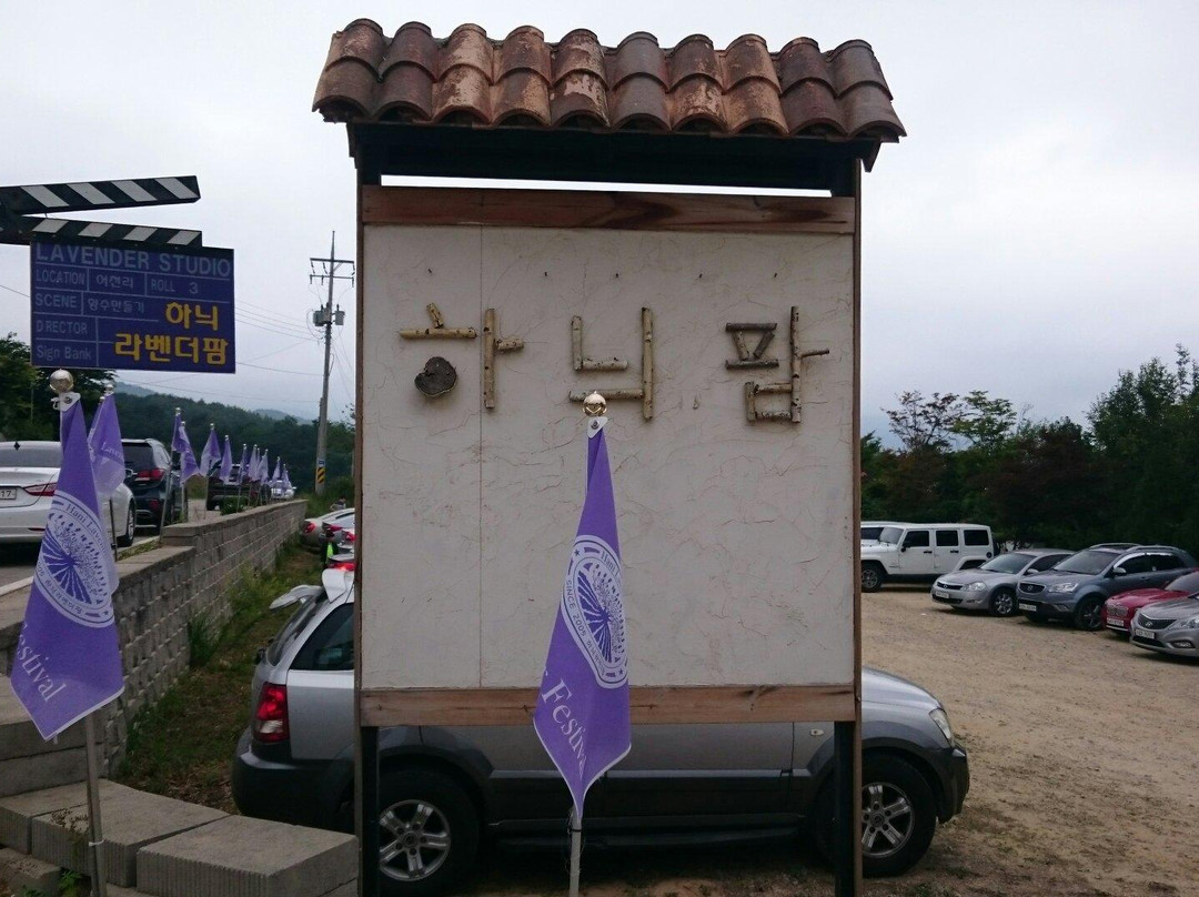 Haneui Lavender Farm-高城郡必去景点