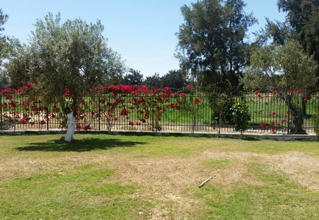 Palm Links Golf Course-摩纳斯特必去景点