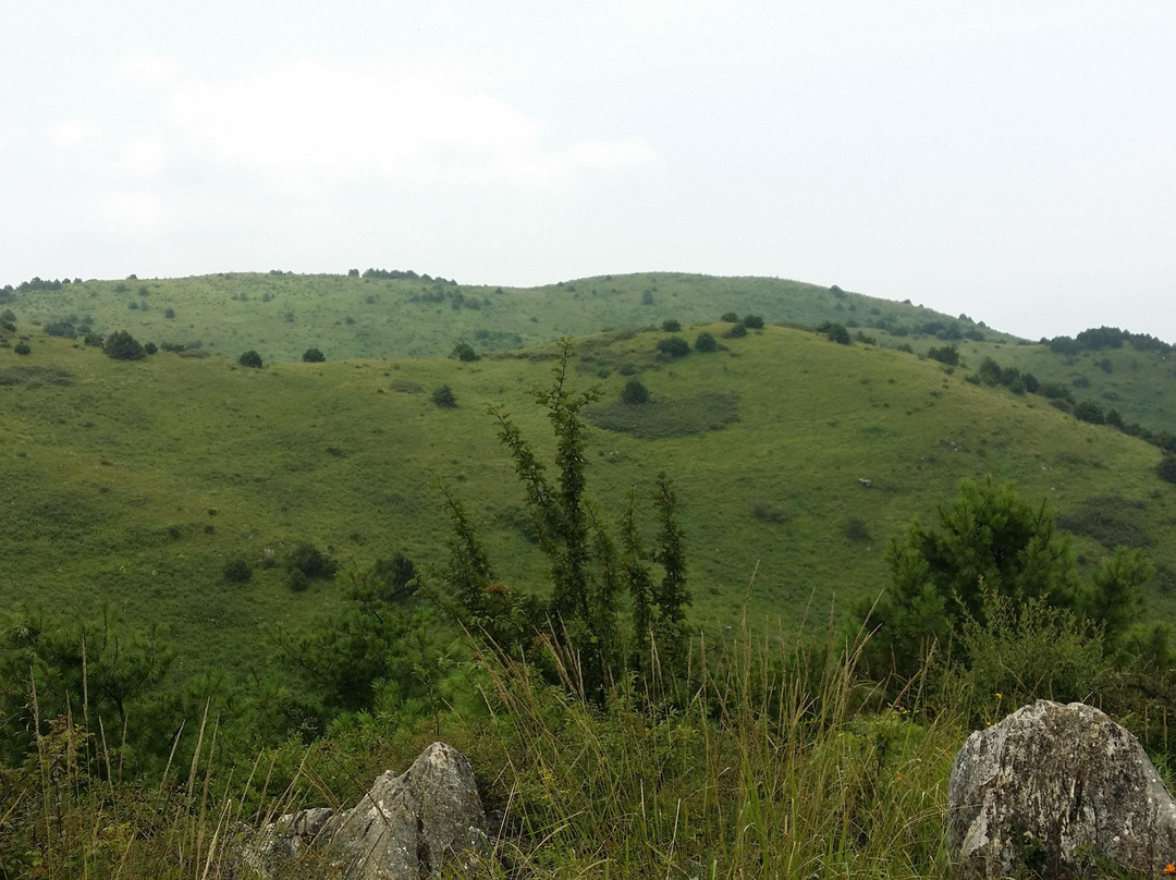 陇南香山自然保护区-礼县必去景点