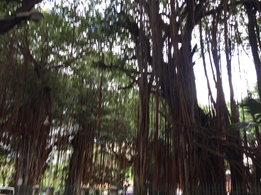 Les Jardins de la Compagnie-路易士港必去景点