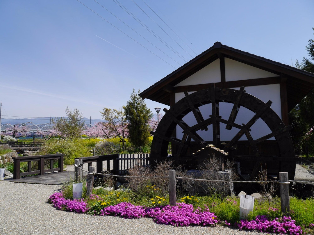 Yamanashi City Peach Fields-山梨市必去景点