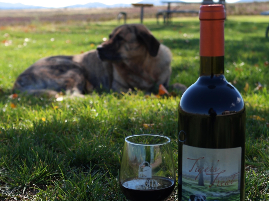 Sonoita Vineyards景点图片