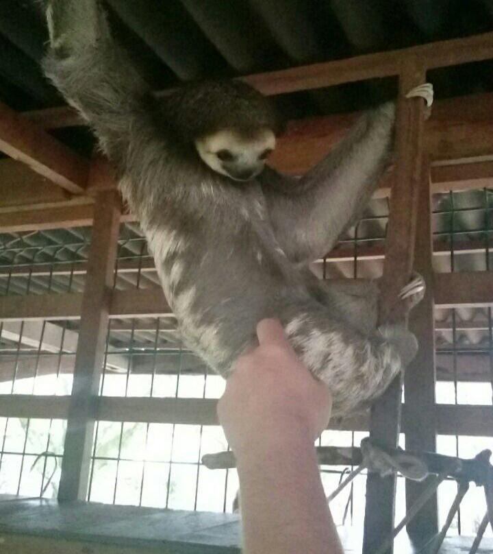 Association Chou Ai-Macouria必去景点