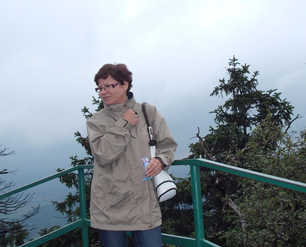 Viewing Platform Skalne Czasze景点图片