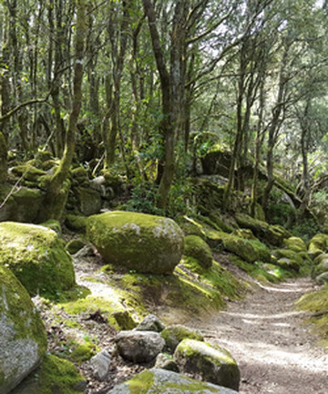 Site archéologique de Cucuruzzu景点门票图片