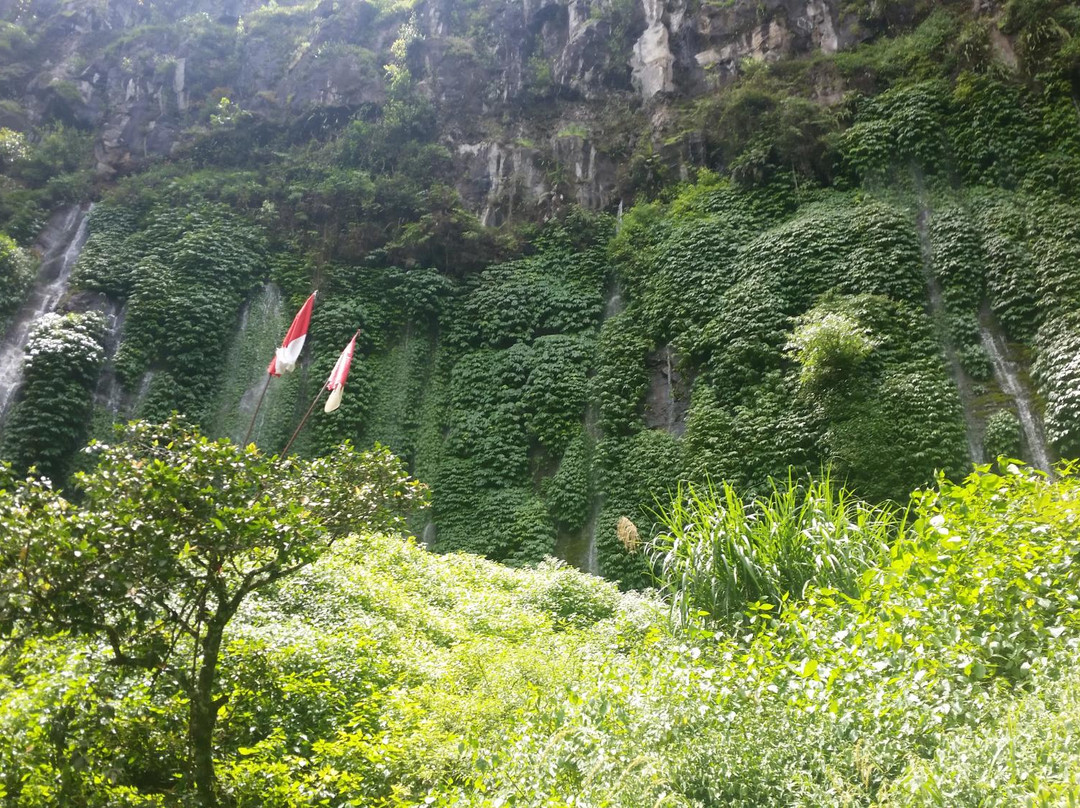 Coban Sumber Pitu-巴图必去景点