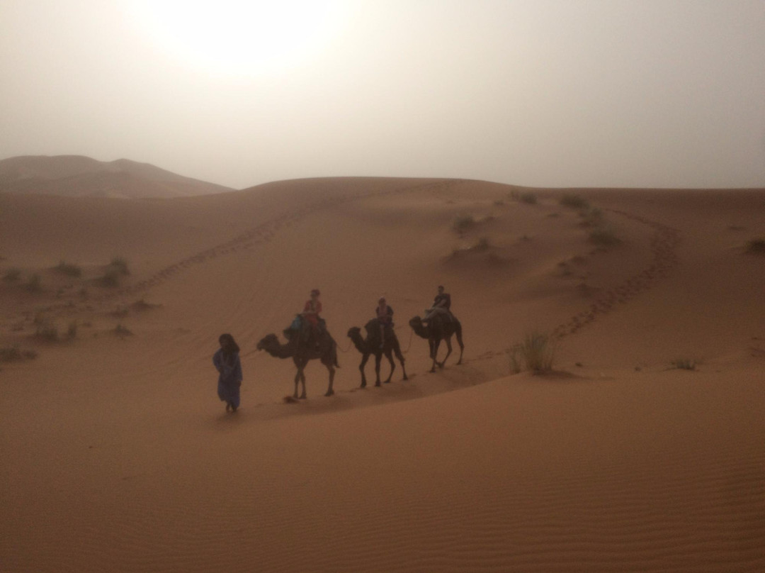 Camel Bivouac Merzouga-Hassilabied必去景点