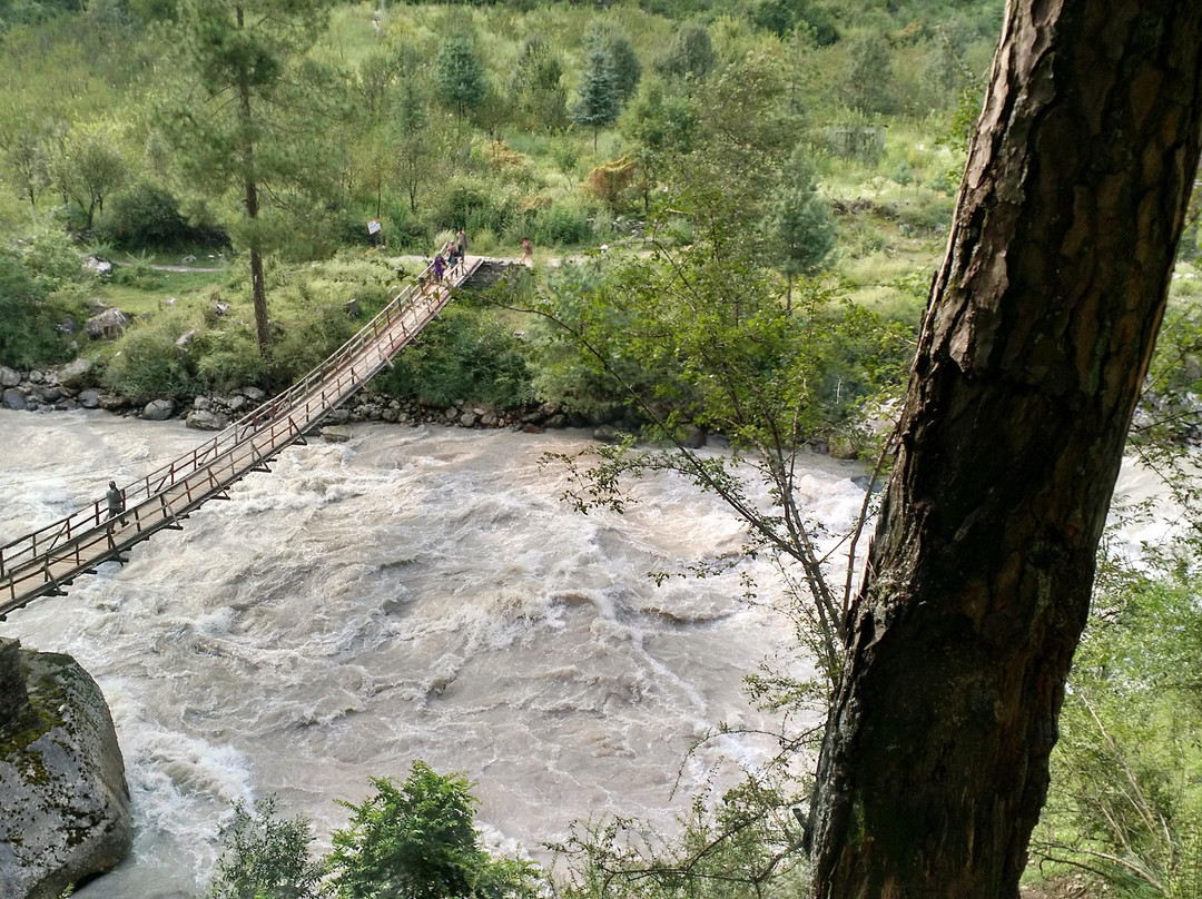 Parvati Woods Cottage主图