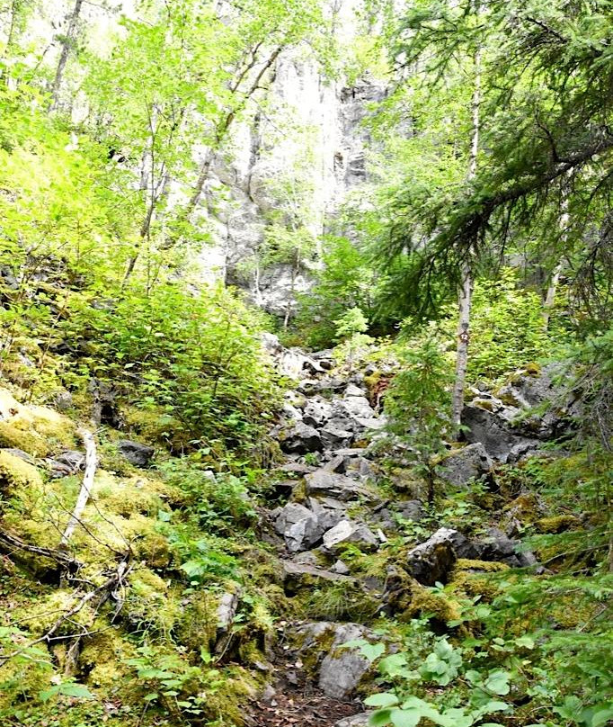 Monkman Provincial Park-Tumbler Ridge必去景点