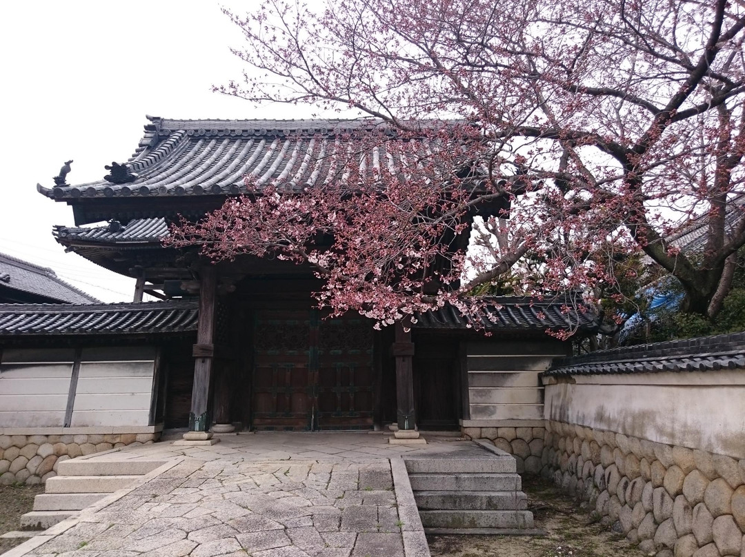 Seikoji Temple景点图片