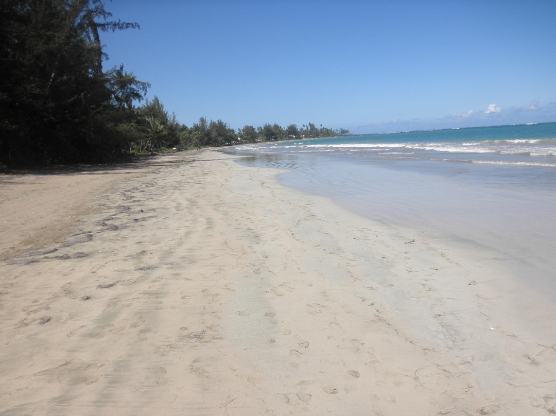 Goodwinds Kitesurf Puerto Rico-多拉多必去景点