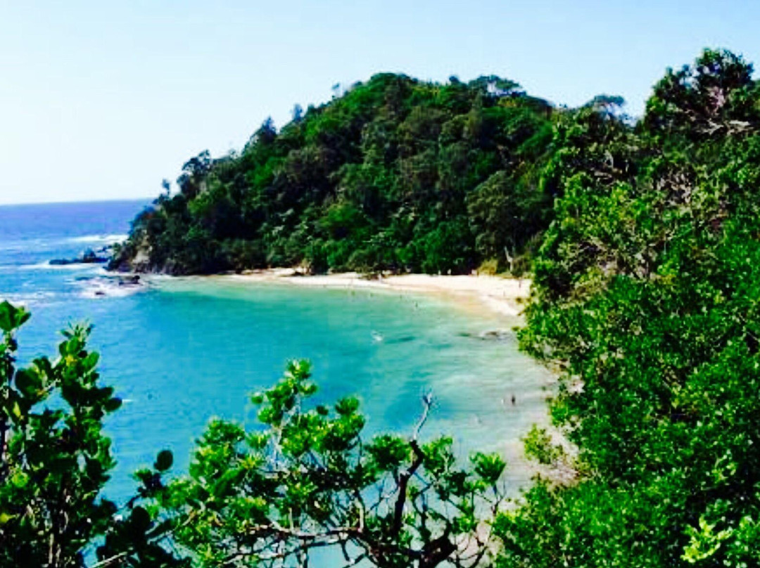 Whale Bay-Matapouri必去景点